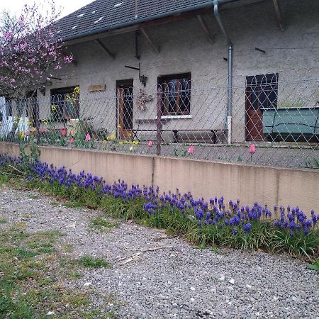 Colonne Chez Domi Syl Gite Nature 아파트 외부 사진
